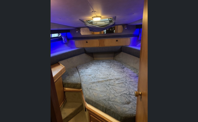 Sealine 310 Statesman-kuva-10